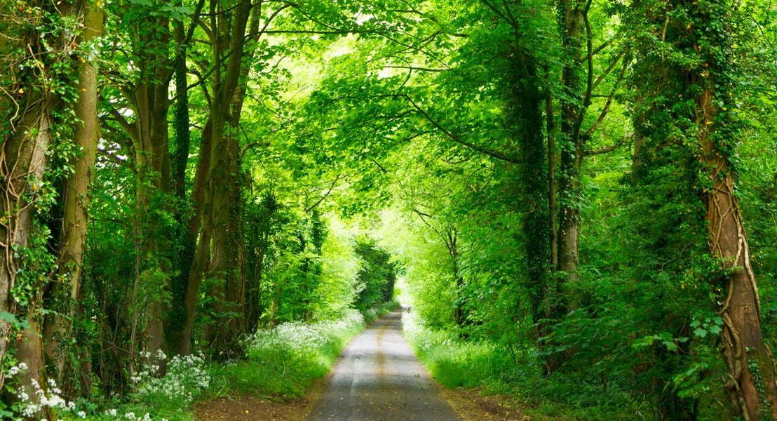 Vi er forpligtet til at mindske miljøpåvirkningen af vores drift og produktion.